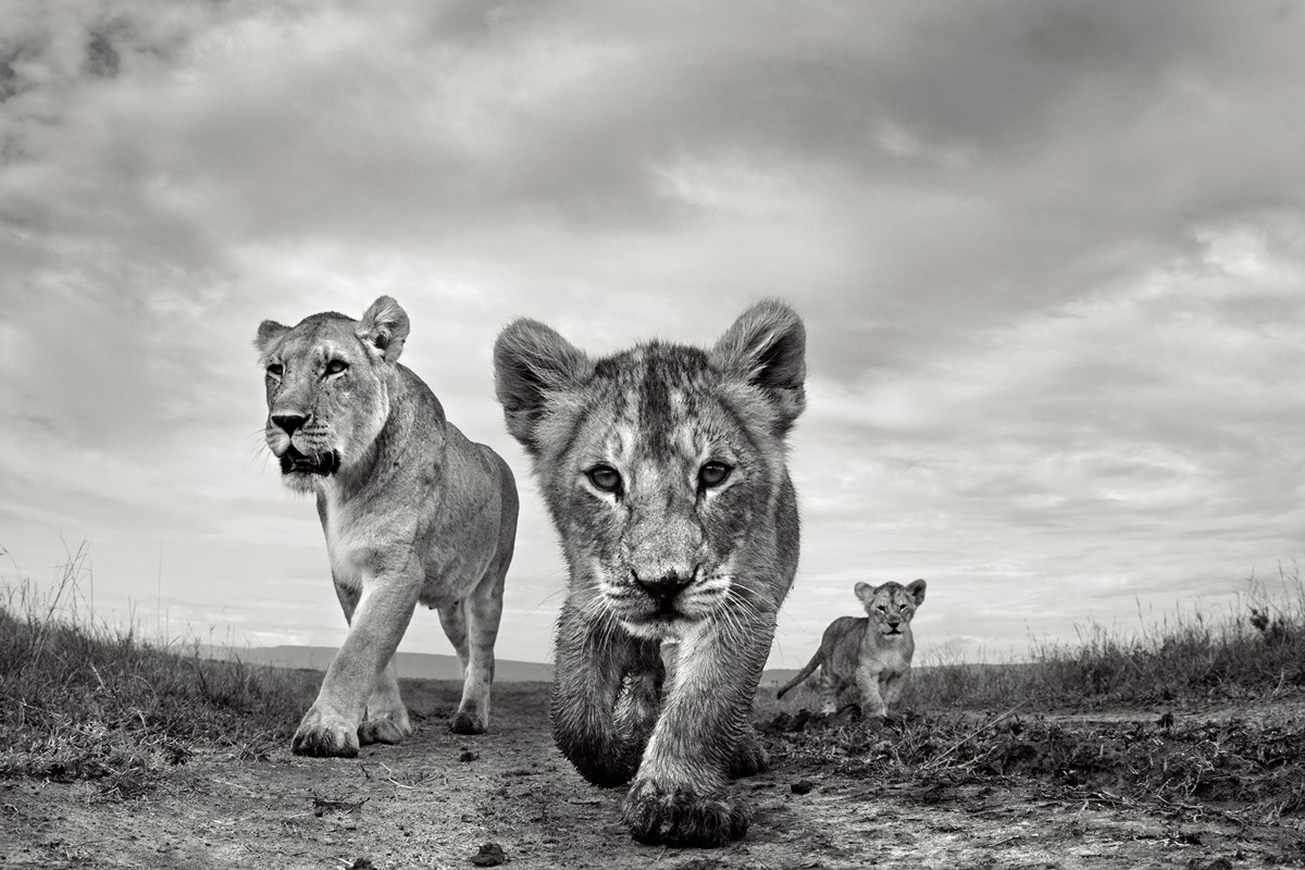 On the Move